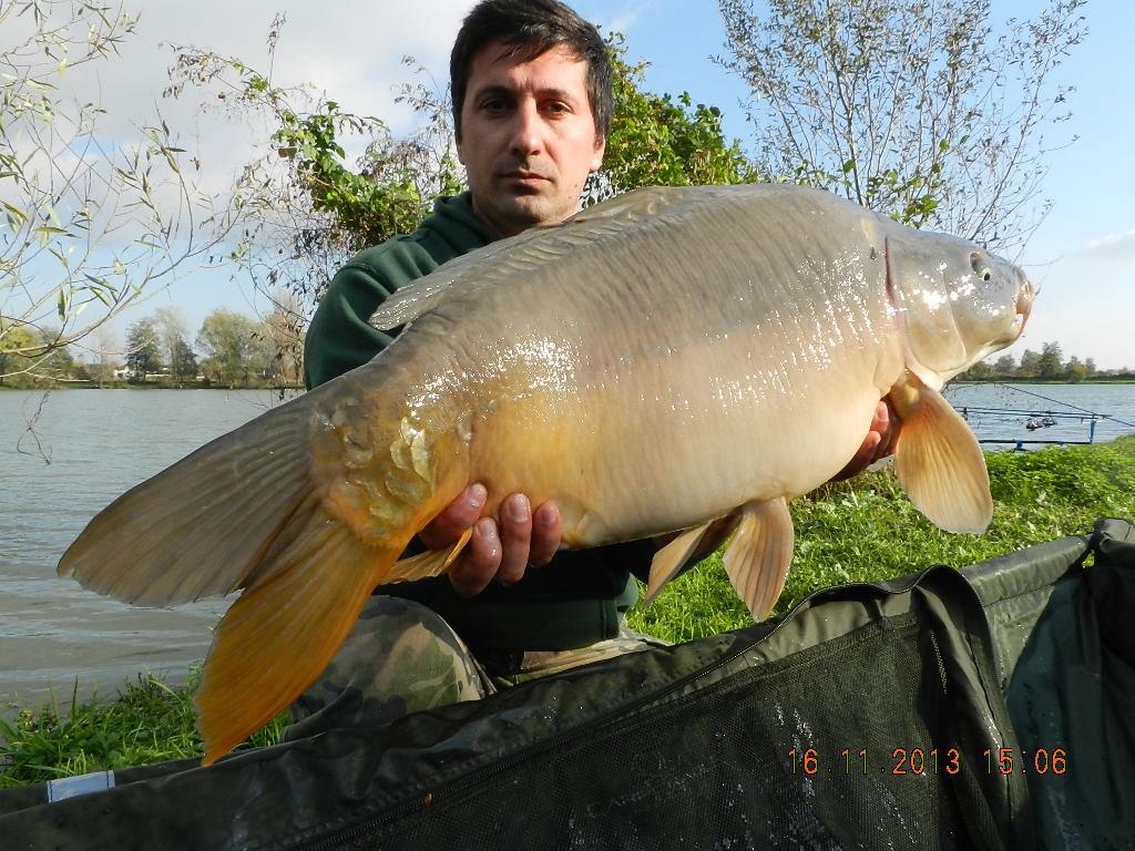 15 noiembrie 2013 - dscn1772.JPG